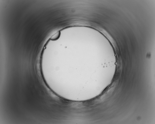 X0000102840909200809151101