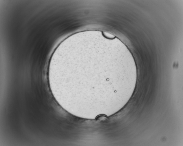 X0000102840912200809151101