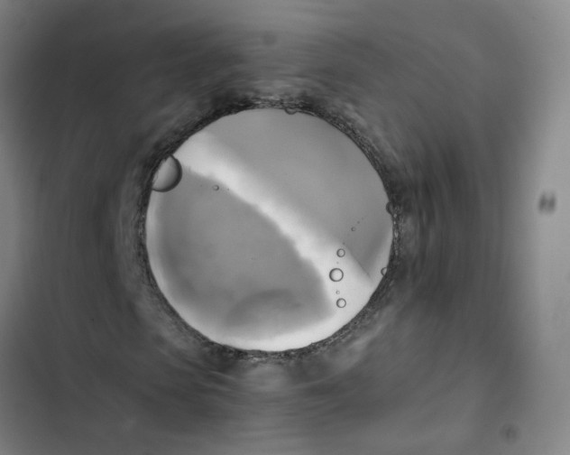 X0000102840913200809151100