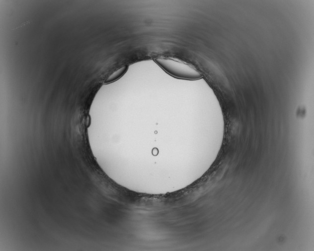 X0000102840914200809151100