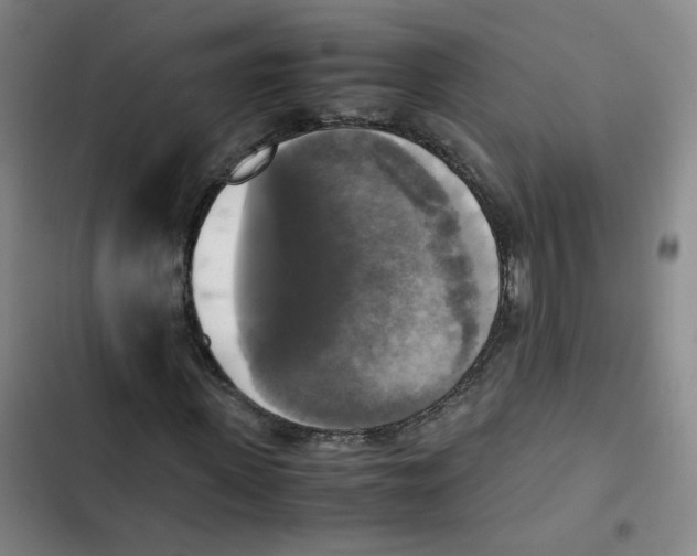 X0000102840915200809151100