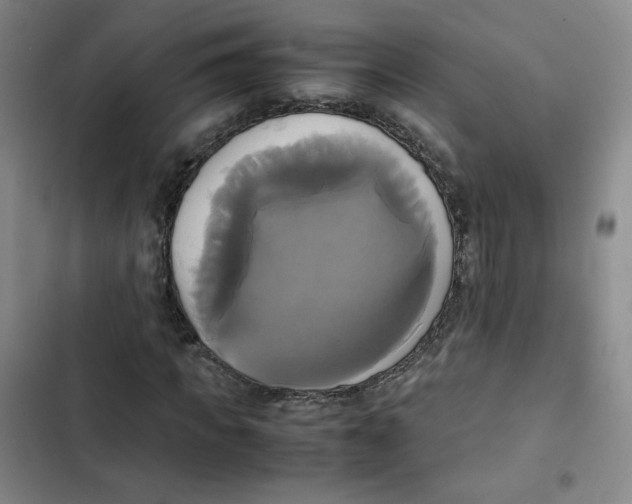 X0000102840917200809151100