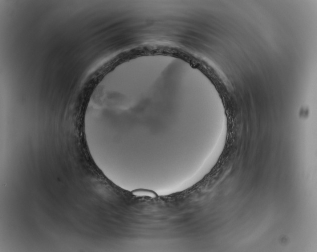 X0000102840919200809151100