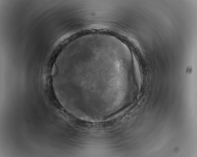 X0000102840920200809151100