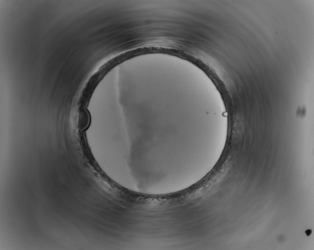 X0000102840923200809151100