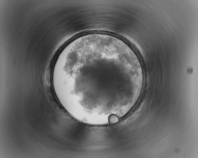 X0000102840925200809151100