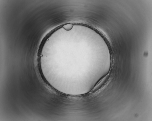 X0000102840928200809151100