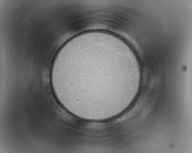 X0000102840929200809151100