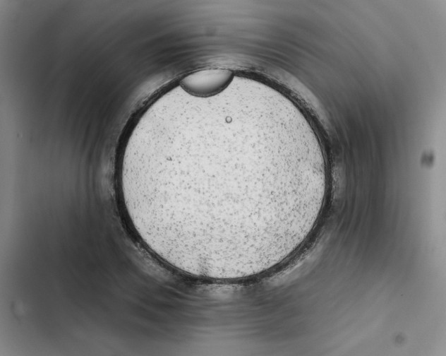 X0000102840930200809151100