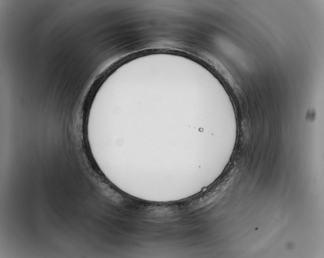 X0000102840931200809151100