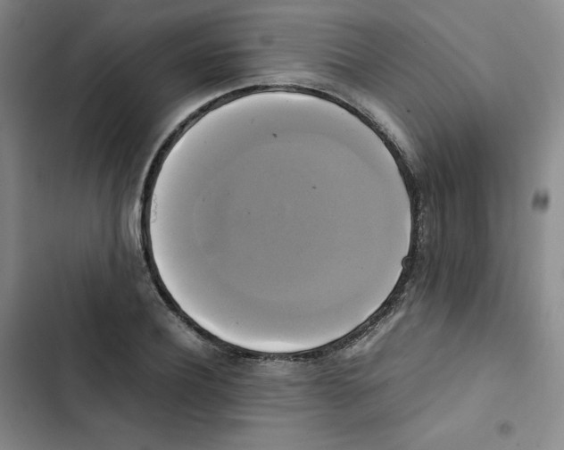 X0000102840932200809151100