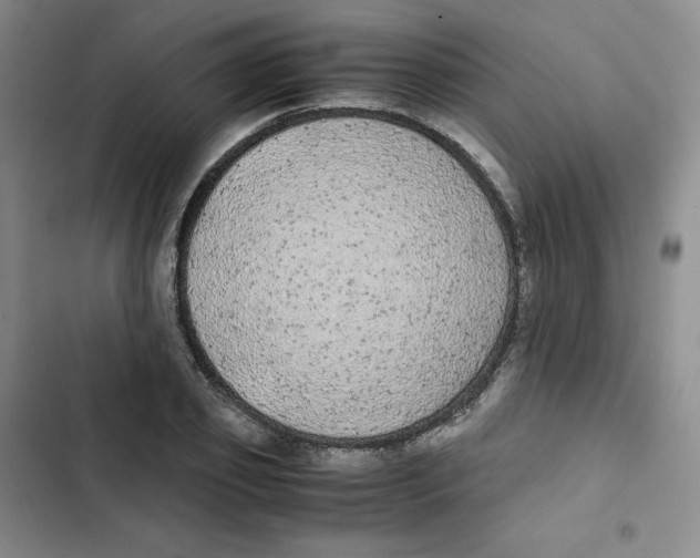 X0000102840933200809151100