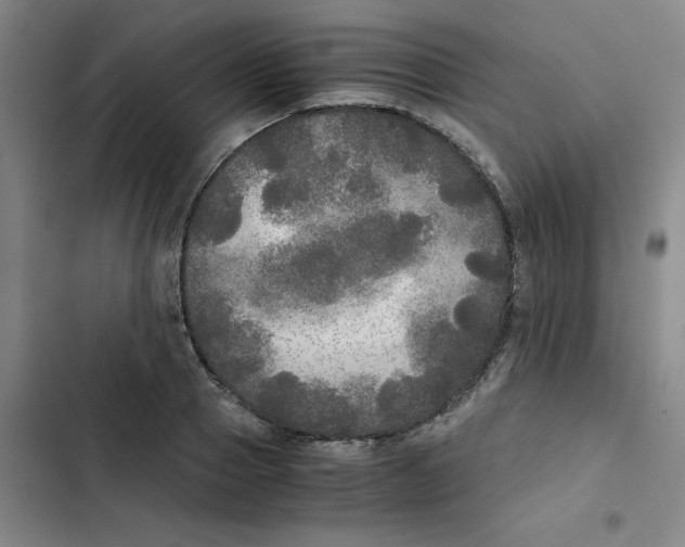 X0000102840937200809151100