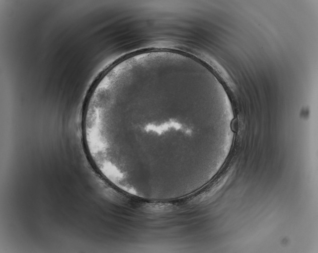 X0000102840939200809151100