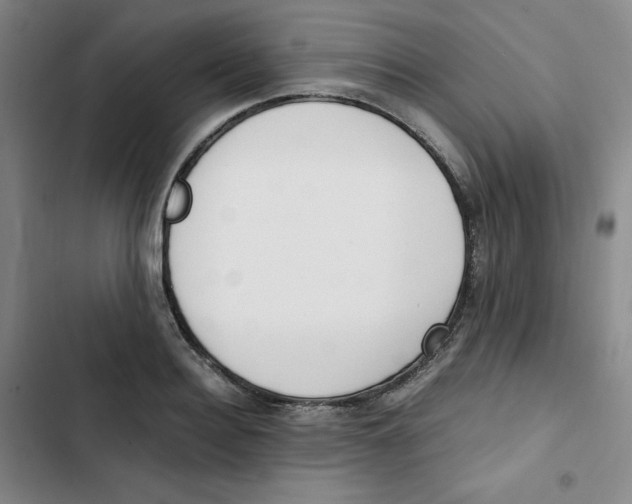 X0000102840940200809151100