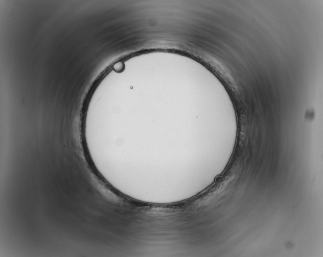 X0000102840942200809151100