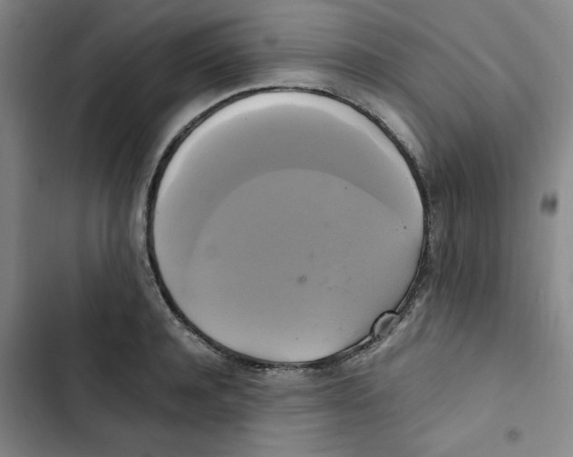 X0000102840944200809151100