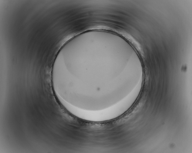 X0000102840945200809151100