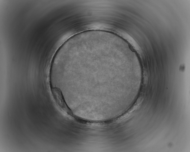 X0000102840946200809151100