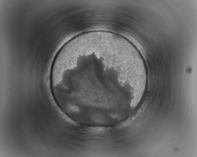 X0000102840949200809151100