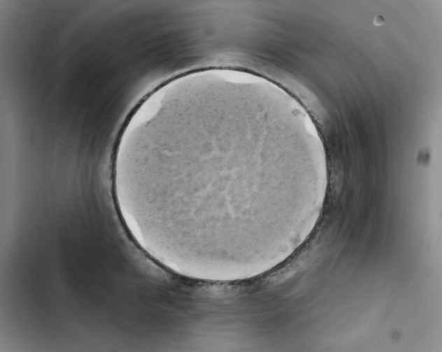 X0000102840950200809151100