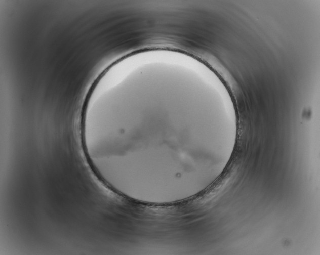 X0000102840951200809151100