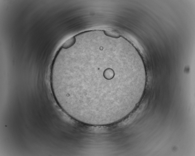 X0000102840952200809151100