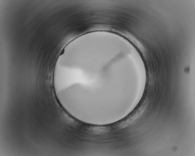 X0000102840953200809151100