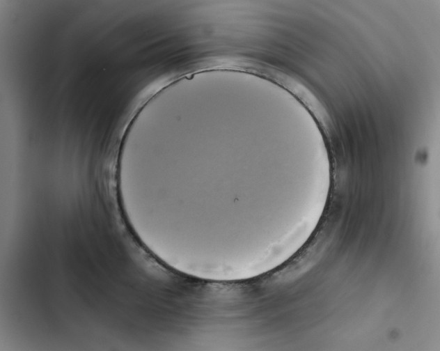 X0000102840954200809151100