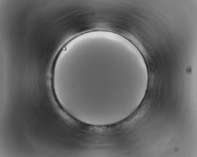 X0000102840955200809151101