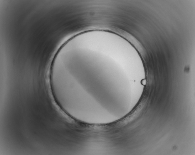 X0000102840958200809151101