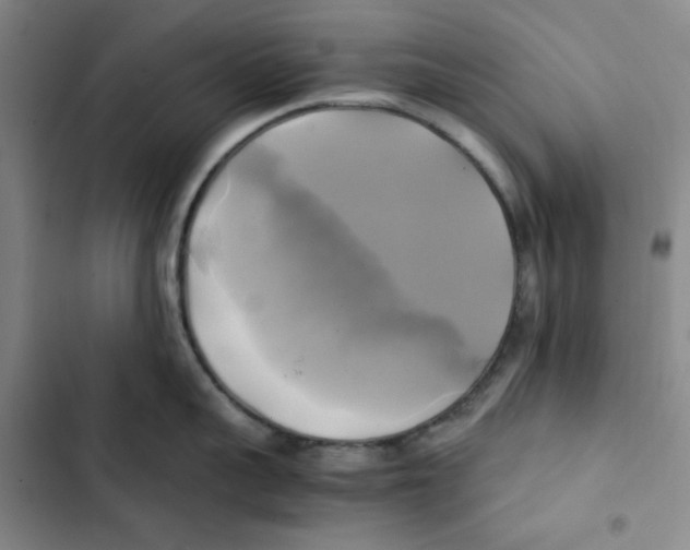 X0000102840959200809151101