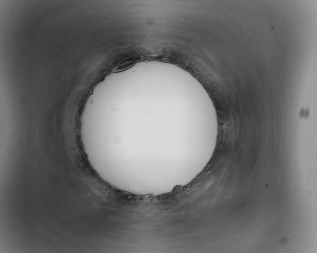 X0000102840961200809151100