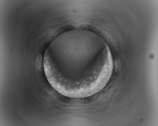 X0000102840963200809151100