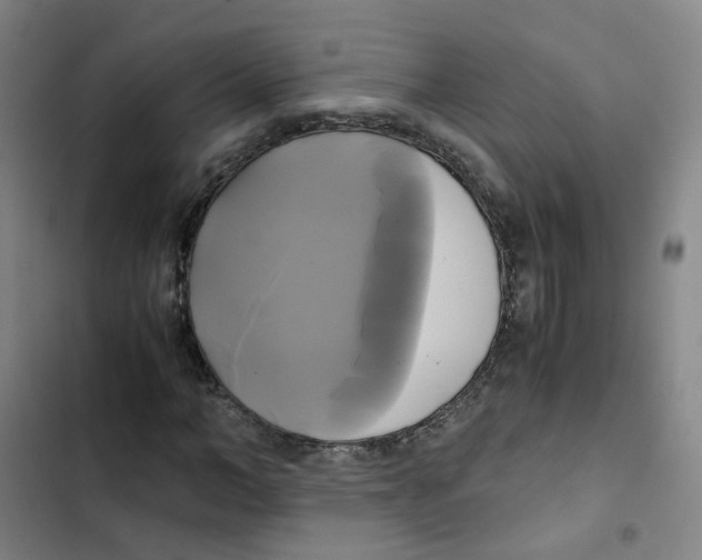 X0000102840966200809151100