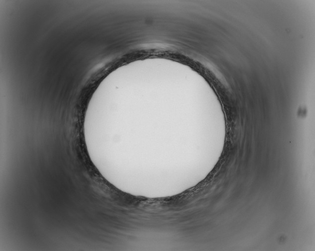 X0000102840967200809151100