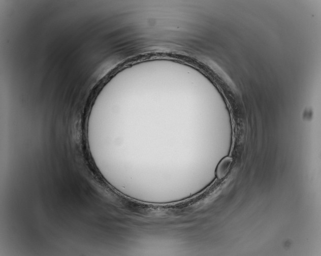 X0000102840969200809151100