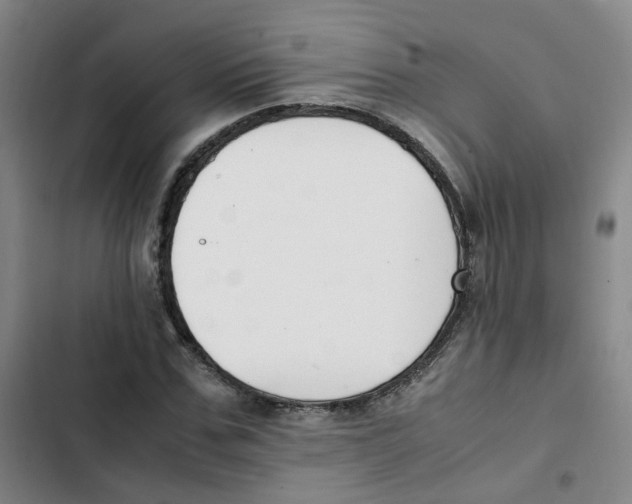 X0000102840971200809151100