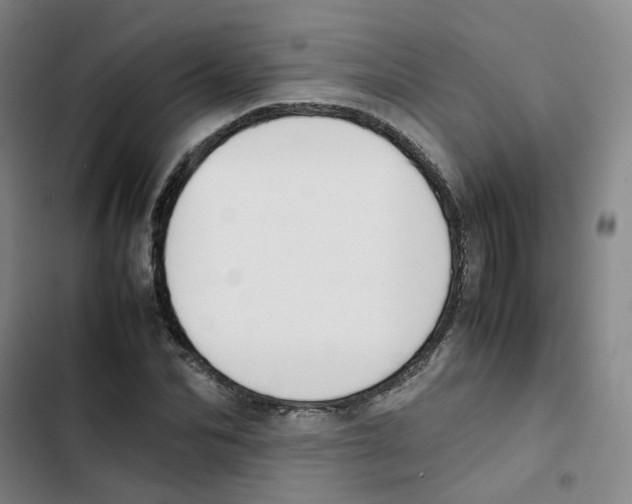 X0000102840974200809151100