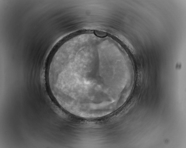 X0000102840976200809151100