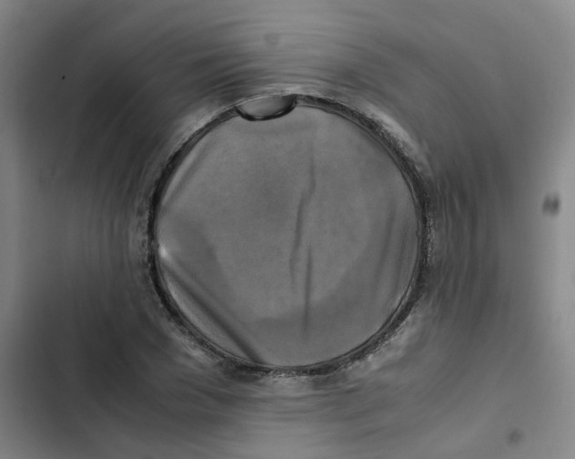 X0000102840977200809151100