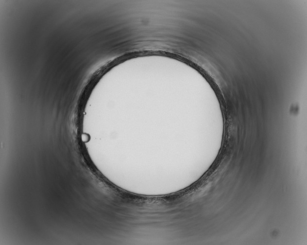 X0000102840979200809151100