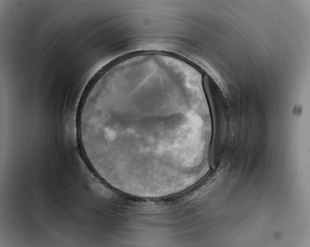 X0000102840980200809151059