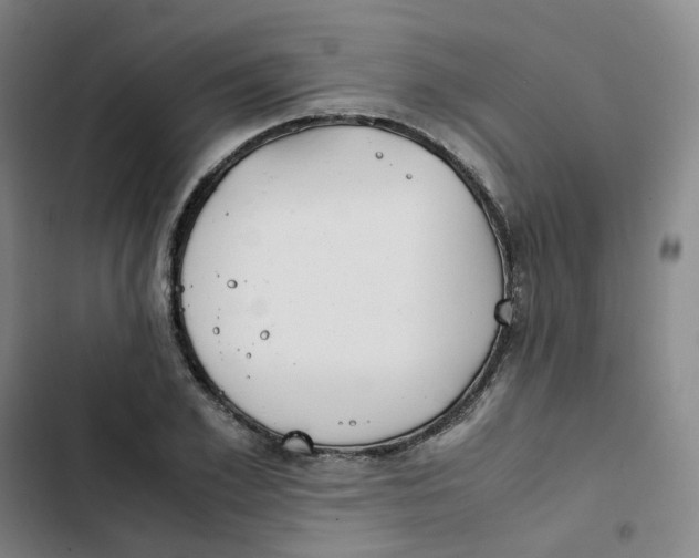 X0000102840981200809151059