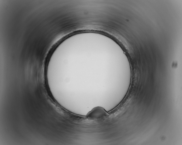 X0000102840982200809151059