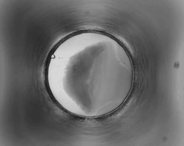 X0000102840983200809151059