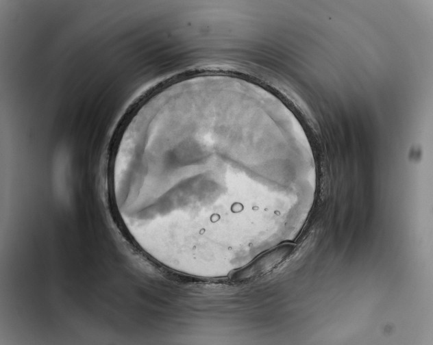 X0000102840984200809151059