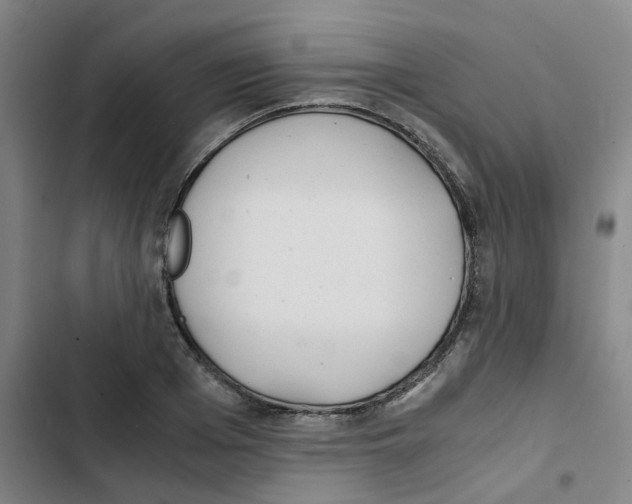 X0000102840985200809151059