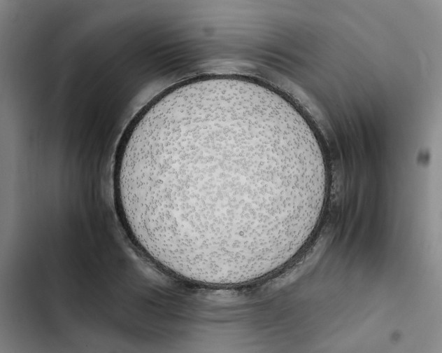 X0000102840986200809151059