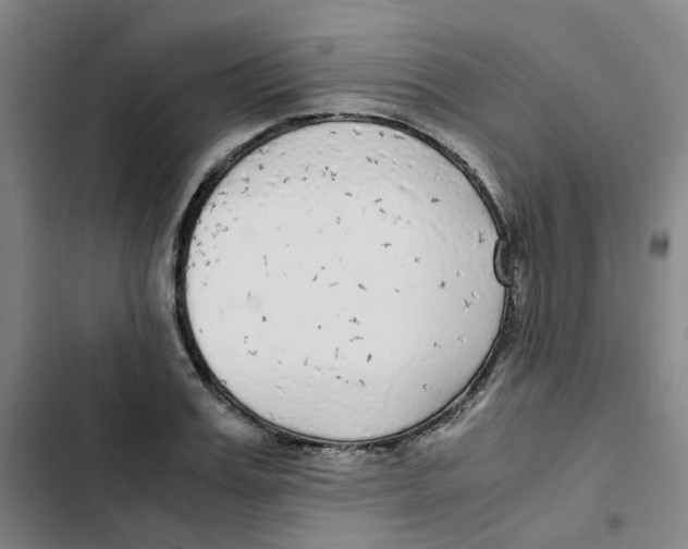 X0000102840987200809151059